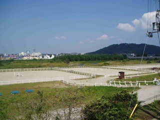 河川敷に広がる水口乗馬クラブの馬場