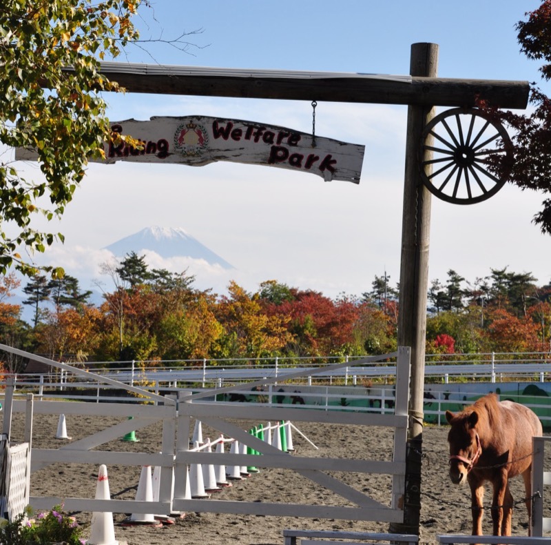 紅葉と富士山を背にした乗馬センターの入口