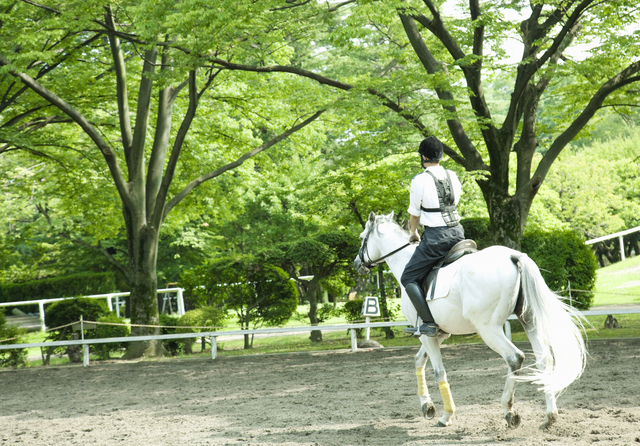 みんなの乗馬はあなたの乗馬クラブ選びをサポートします