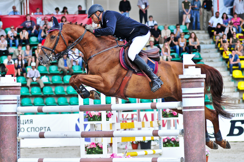 オルデンブルグ2