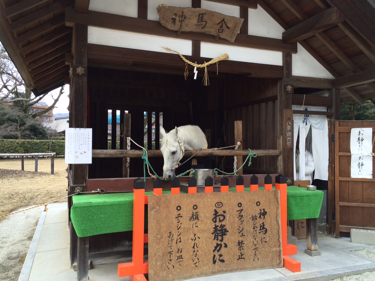 上賀茂神社3
