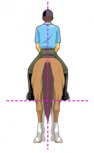 乗馬の騎乗姿勢２