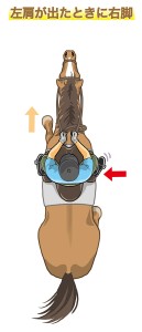 常歩の脚の使い方