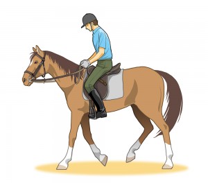 悪い乗馬の騎乗姿勢