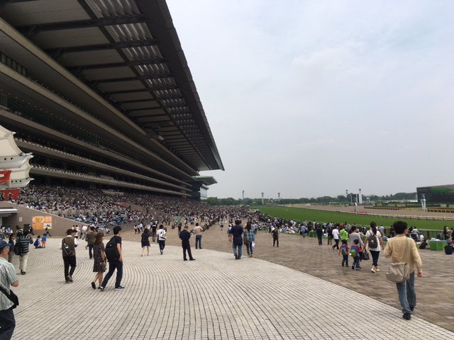 東京競馬場