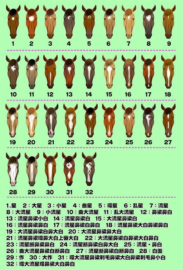 馬の白斑