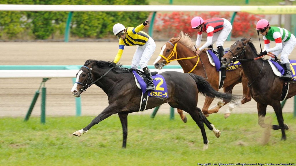 馬の血液ブログ