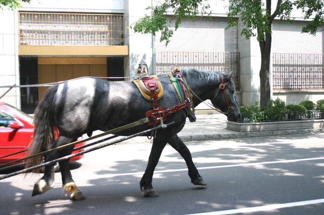 馬車