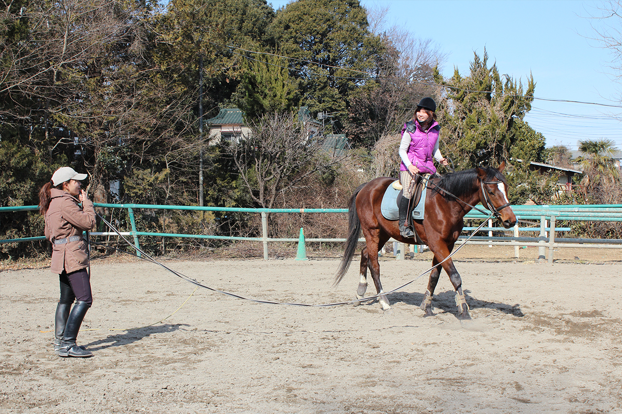 会員乗馬メニュー