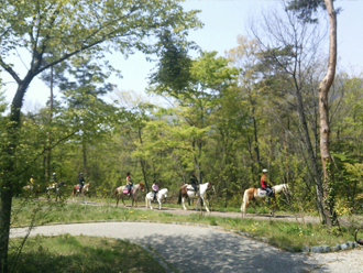 大人も子供も楽しく外乗♪（南アルプス市乗馬センター　山梨県）