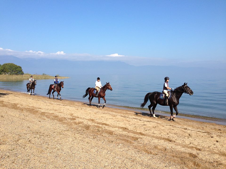 琵琶湖沿いを行く外乗（水口乗馬クラブ　滋賀県）