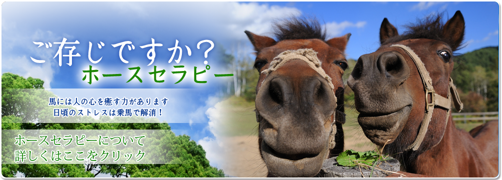 ご存知ですか?ホースセラピー