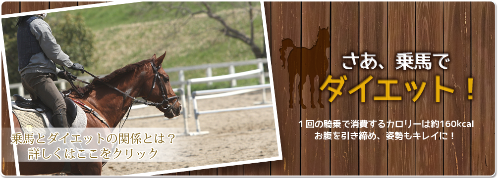 さあ、乗馬でダイエット!