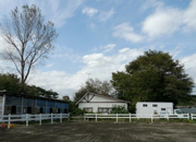 神奈川県相模原市　エクウスライディングファーム