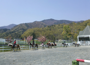 山梨県南アルプス市　南アルプス市乗馬センター